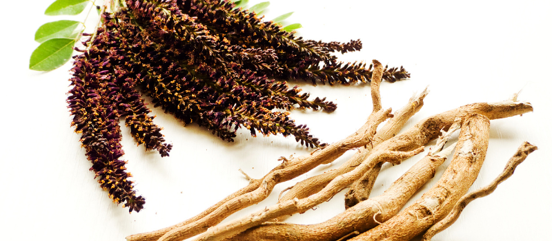 Ingredient Spotlight: Licorice Root for Skin